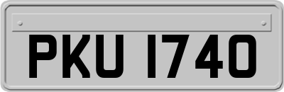 PKU1740