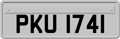 PKU1741