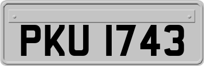 PKU1743
