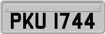PKU1744
