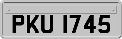 PKU1745