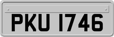 PKU1746
