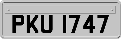 PKU1747