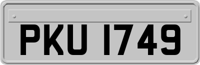 PKU1749