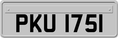 PKU1751