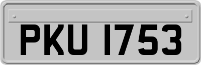 PKU1753