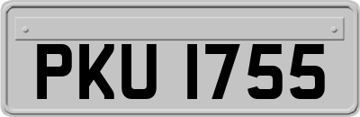 PKU1755