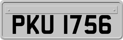 PKU1756