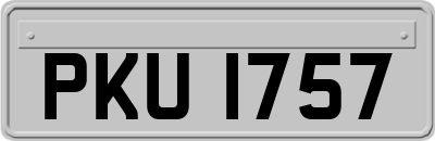PKU1757