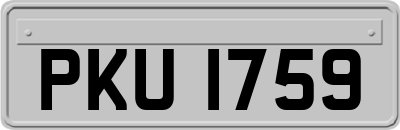 PKU1759
