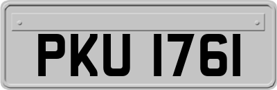 PKU1761