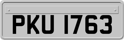 PKU1763