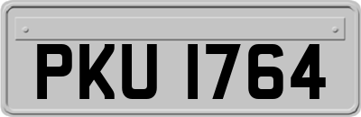 PKU1764