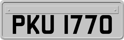 PKU1770