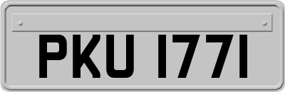 PKU1771