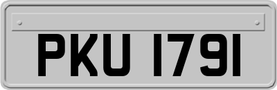 PKU1791