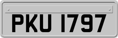 PKU1797