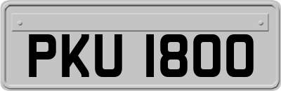 PKU1800