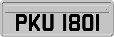 PKU1801