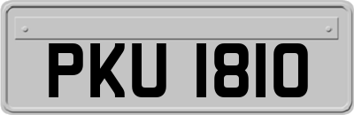 PKU1810