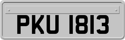 PKU1813
