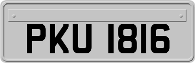 PKU1816