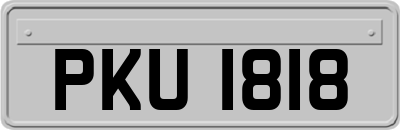 PKU1818