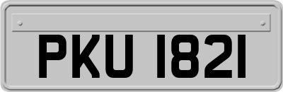 PKU1821