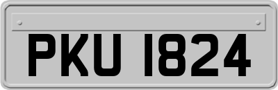 PKU1824