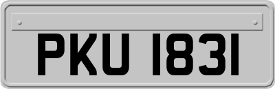 PKU1831