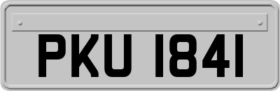PKU1841