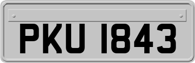 PKU1843