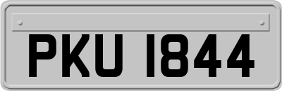 PKU1844