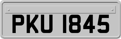 PKU1845