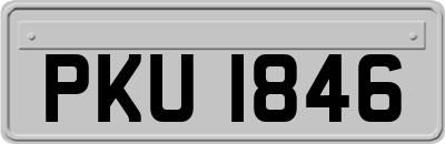 PKU1846