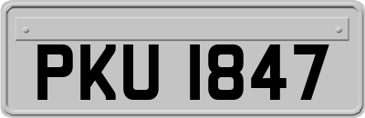 PKU1847