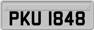 PKU1848