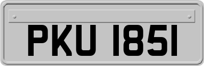PKU1851