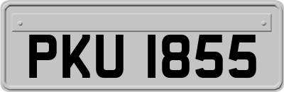 PKU1855
