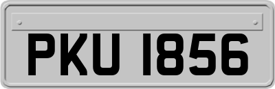 PKU1856