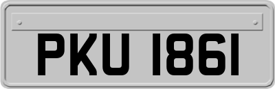PKU1861