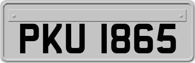 PKU1865