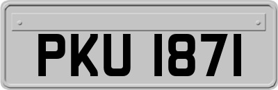 PKU1871