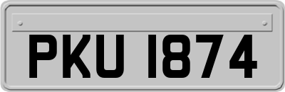 PKU1874
