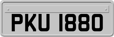 PKU1880