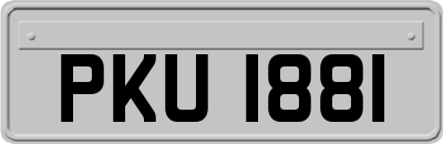 PKU1881