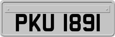 PKU1891