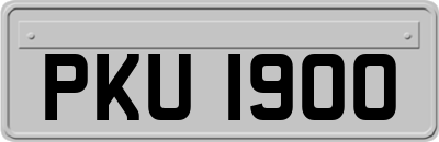 PKU1900