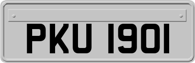 PKU1901