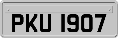 PKU1907
